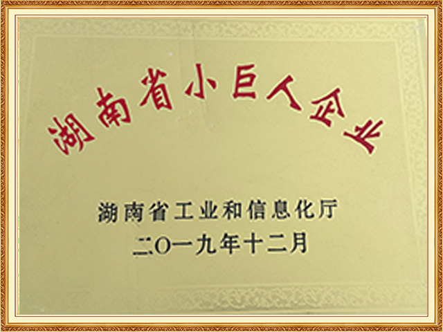 湖南省小巨人企業(yè)